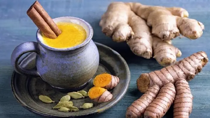 cara menghilangkan kolesterol dan asam urat