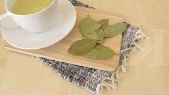 daun salam untuk darah tinggi