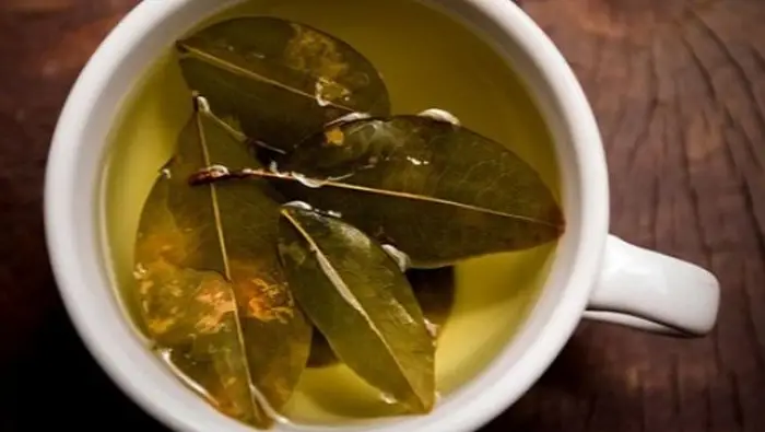 kegunaan daun salam untuk kesehatan