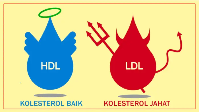 kolesterol jahat dan baik