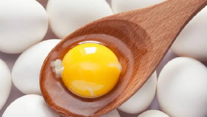 kolesterol telur ayam