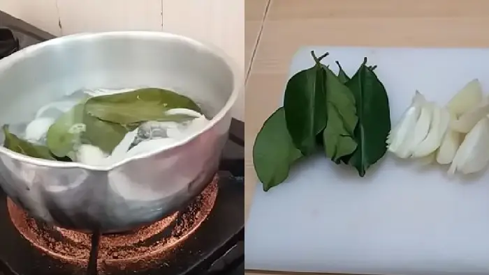 manfaat bawang bombay dan daun salam
