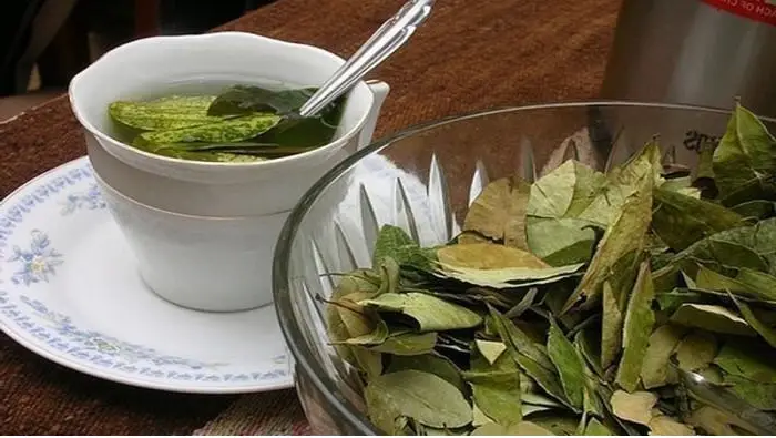 manfaat rebusan air daun salam